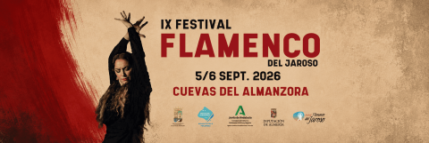Festival  de Flamenco